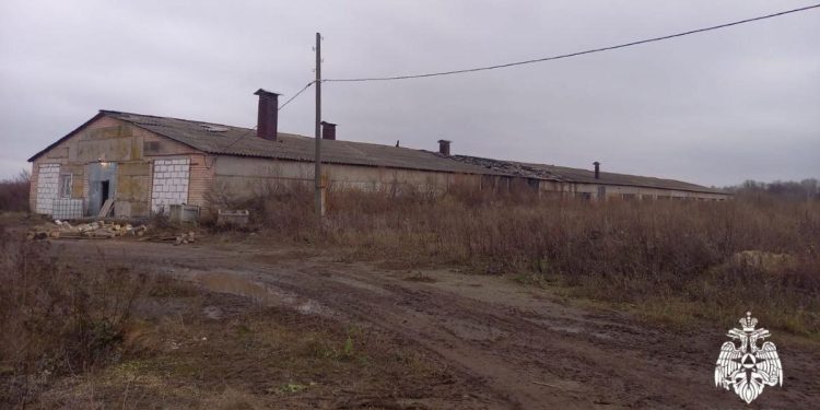 В Рыбновском районе горел ангар из-за неисправности дымохода печи