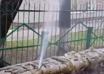 На улице Щорса прорвало теплотрассу На улице Щорса прорвало теплотрассу