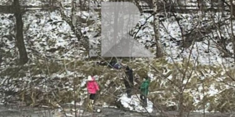 На улице Зубковой засняли детей, которые вышли на неокрепший лед