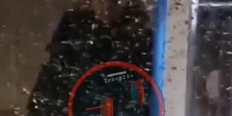 В Рязани неизвестный прилюдно справил нужду на остановке