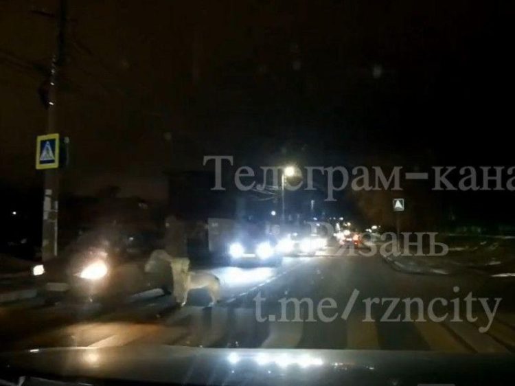 На Окском проезде пешеход пнул автомобиль, водитель которого не пропустил его