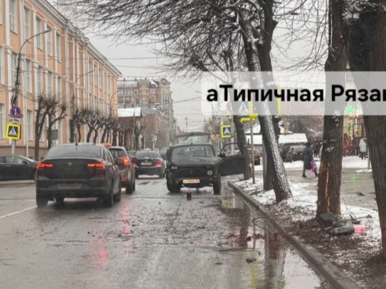 В центре Рязани водитель на "Niva" врезался в дерево