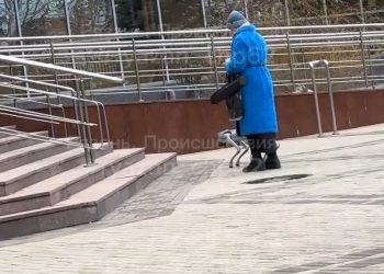 В центре Рязани засняли женщину, выгуливающую собаку-робота В центре Рязани засняли женщину, выгуливающую собаку-робота