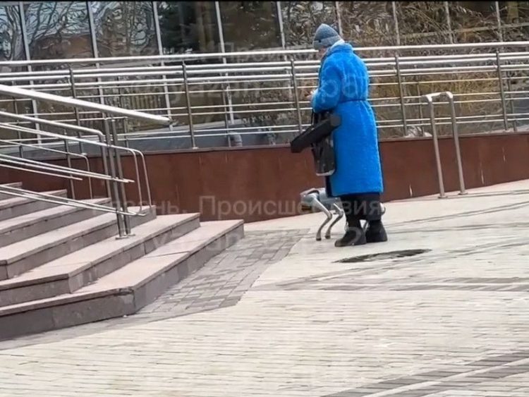 В центре Рязани засняли женщину, выгуливающую собаку-робота