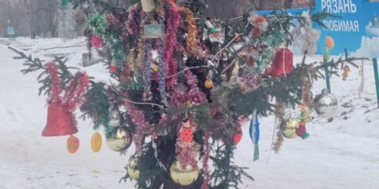 Горожане остались недовольны новогодней елкой, установленной в рязанском Дягилеве
