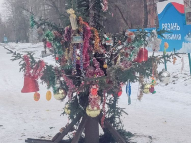 Горожане остались недовольны новогодней елкой, установленной в рязанском Дягилеве