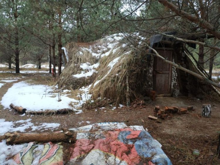 В рязанском лесу обнаружили "нору хоббита"