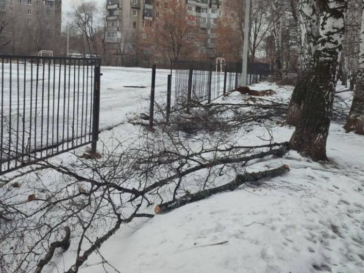 На улице Березовой спиленные еще осенью деревья до сих пор не убрали