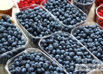 Полиция оштрафовала 31 рязанца за незаконную торговлю