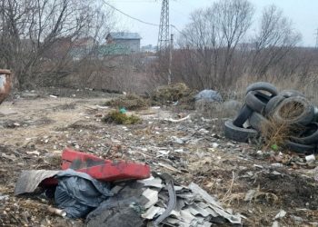 Мэрия Рязани приступила к ликвидации несанкционированной свалки в Борках
