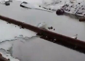 В Рязани разыскивают виновника сброса нечистот в районе поселка Шлаковый В Рязани разыскивают виновника сброса нечистот в районе поселка Шлаковый