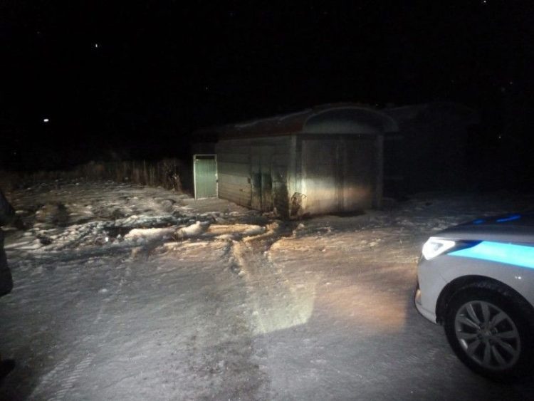 В Скопинском районе водитель легковушки врезался в гараж и уехал с места происшествия