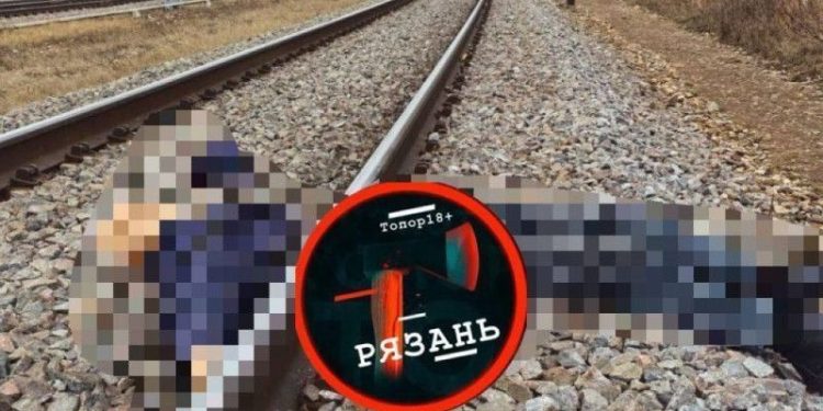 Под Рязанью поезд переехал 69-летнего жителя Рыбного