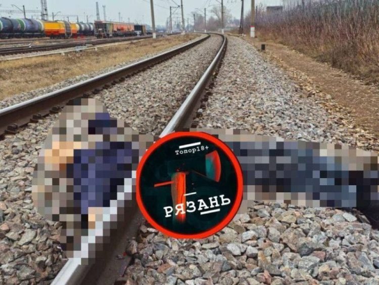 Под Рязанью поезд переехал 69-летнего жителя Рыбного