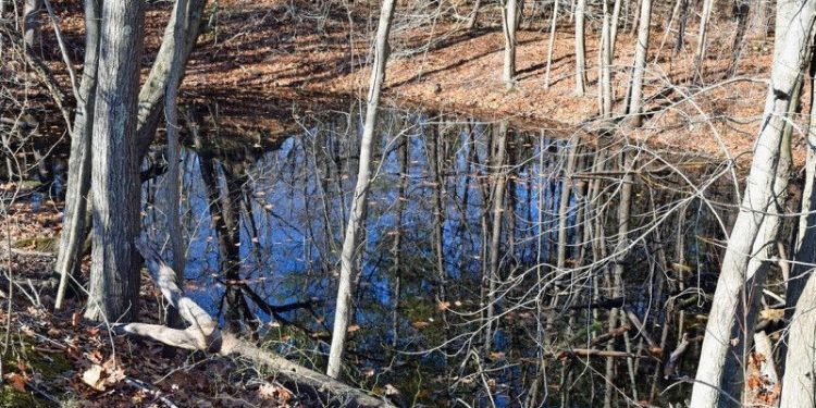 В Шацком районе из местного пруда достали труп мужчины