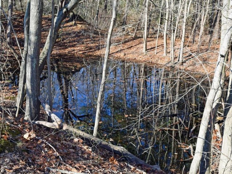 В Шацком районе из местного пруда достали труп мужчины