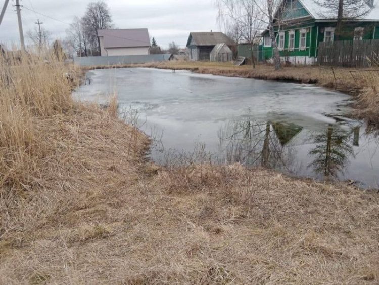 В Кадомском районе 5-летний ребенок провалился под лед и утонул