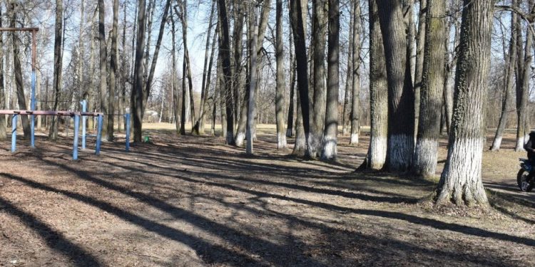 В рязанской Ермиши вандалы-скутеристы испортили Летний парк