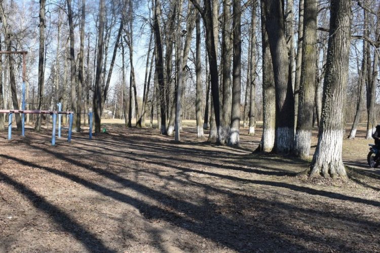 В рязанской Ермиши вандалы-скутеристы испортили Летний парк