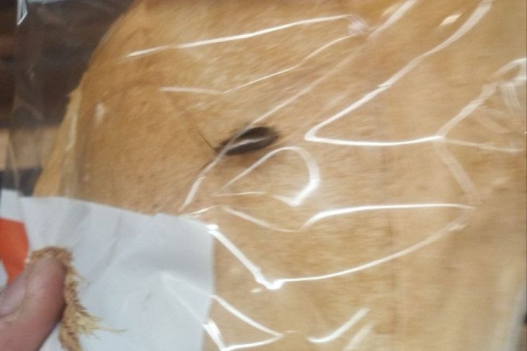 В рязанском супермаркете покупательница заметила в упаковке с хлебом тараканов