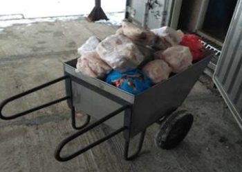 В Рязанском регионе в I квартале 2025 года уничтожили 4 тонны опасной продукции В Рязанском регионе в I квартале 2025 года уничтожили 4 тонны опасной продукции