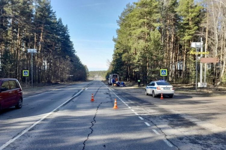 В Касимовском районе насмерть сбили 68-летнюю женщину-пешехода
