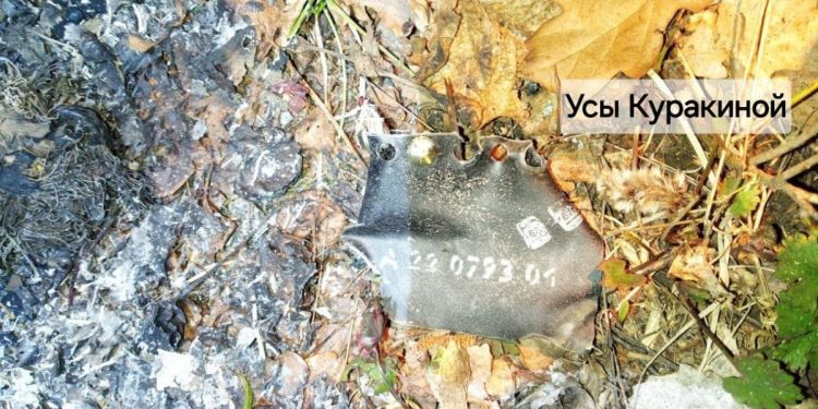 В Сети опубликовали кадры с места падения обломков БПЛА в Рязанской области