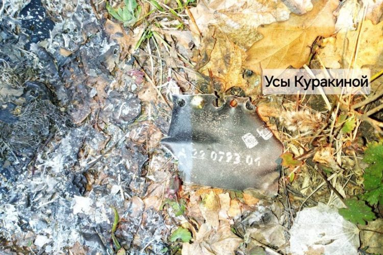 В Сети опубликовали кадры с места падения обломков БПЛА в Рязанской области