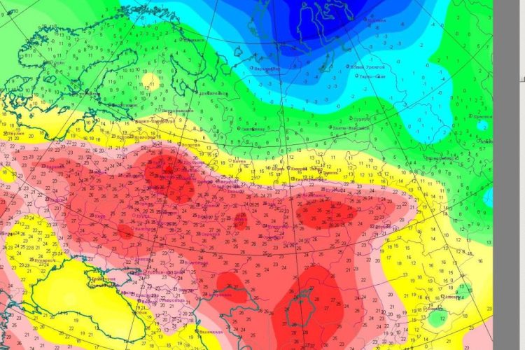 В Рязанском регионе побит рекорд 1950 года