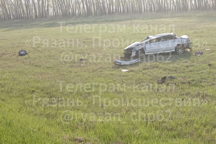В Рязанском регионе легковой автомобиль улетел в кювет