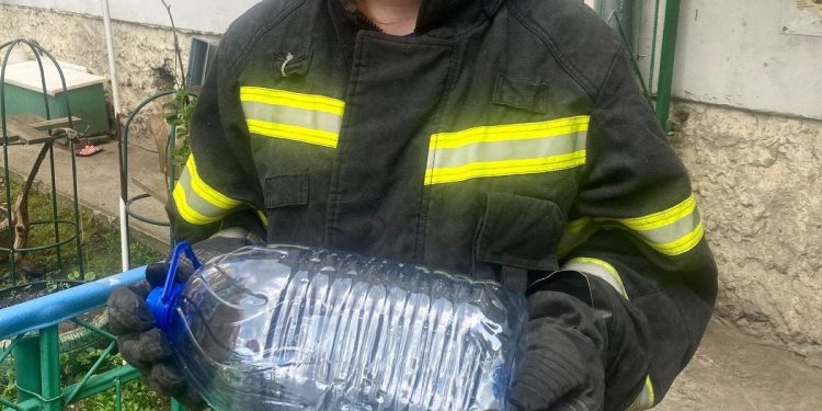 В Рязани волонтеры поймали змею возле жилых домов