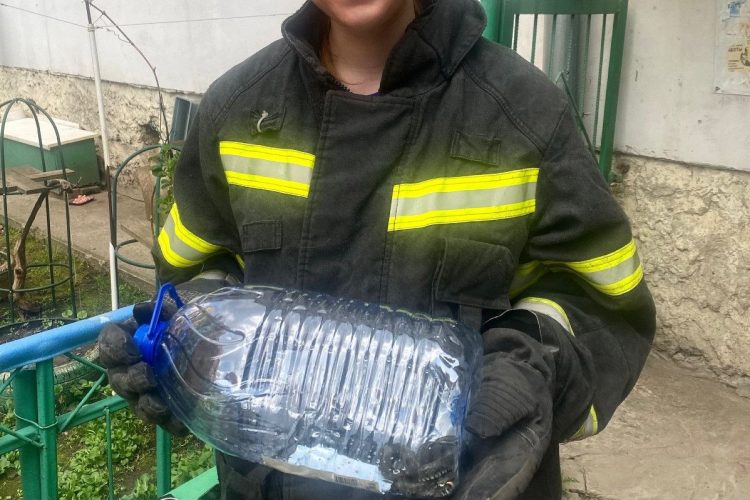 В Рязани волонтеры поймали змею возле жилых домов
