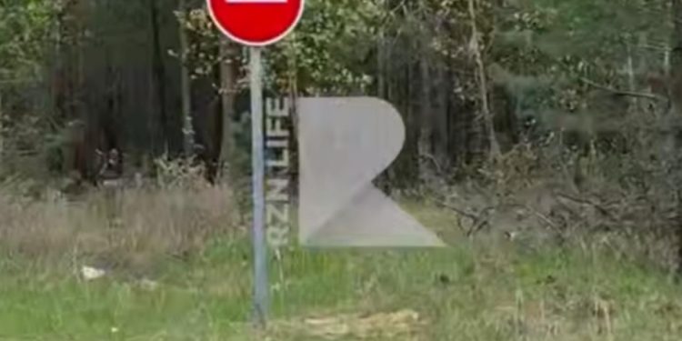 В Рязанском регионе закрыли проезд к лесным озерам
