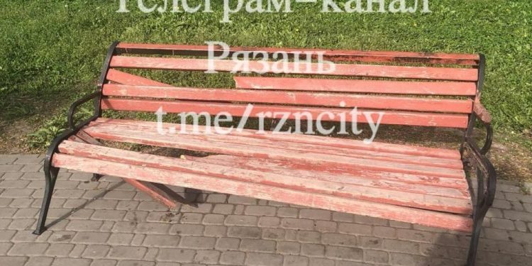 Неизвестные разгромили лавочки в рязанском парке имени Скобелева