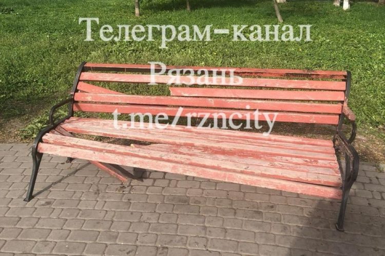 Неизвестные разгромили лавочки в рязанском парке имени Скобелева