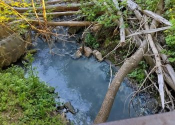 Рязанцы сообщили о загрязнении ручья Песоченка Рязанцы сообщили о загрязнении ручья Песоченка