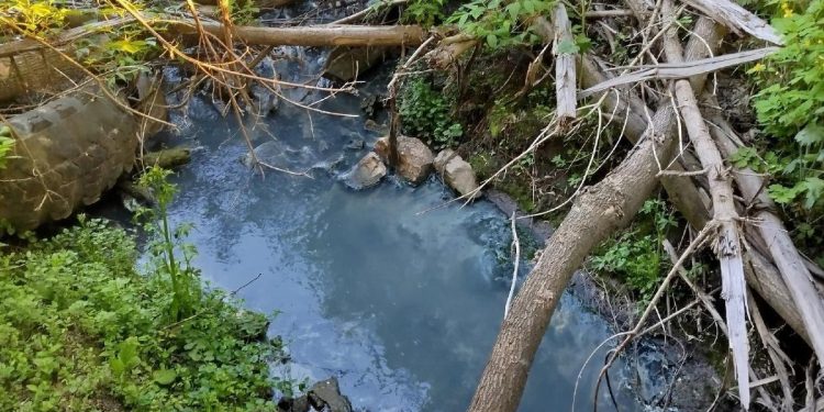 Рязанцы сообщили о загрязнении ручья Песоченка