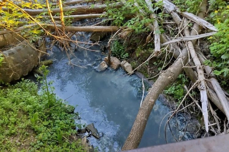 Рязанцы сообщили о загрязнении ручья Песоченка