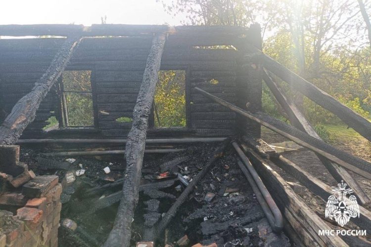 На пожаре в Сараевском районе пострадала 72-летняя пенсионерка