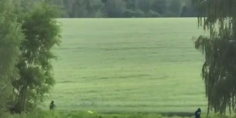 В Рязанской области предотвращен теракт В Рязанской области предотвращен теракт