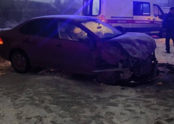 В ДТП на Ряжском шоссе пострадали три человека, в том числе 3-летняя девочка В ДТП на Ряжском шоссе пострадали три человека, в том числе 3-летняя девочка