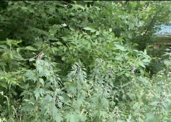 Рязанская Госжилинспекция обнаружила нарушения в работе управляющей компании