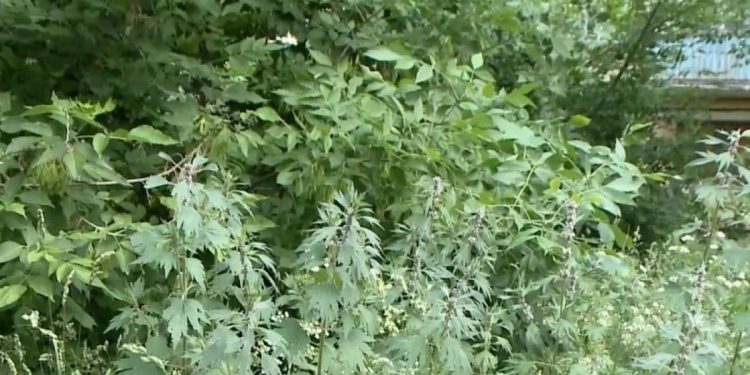 Рязанская Госжилинспекция обнаружила нарушения в работе управляющей компании