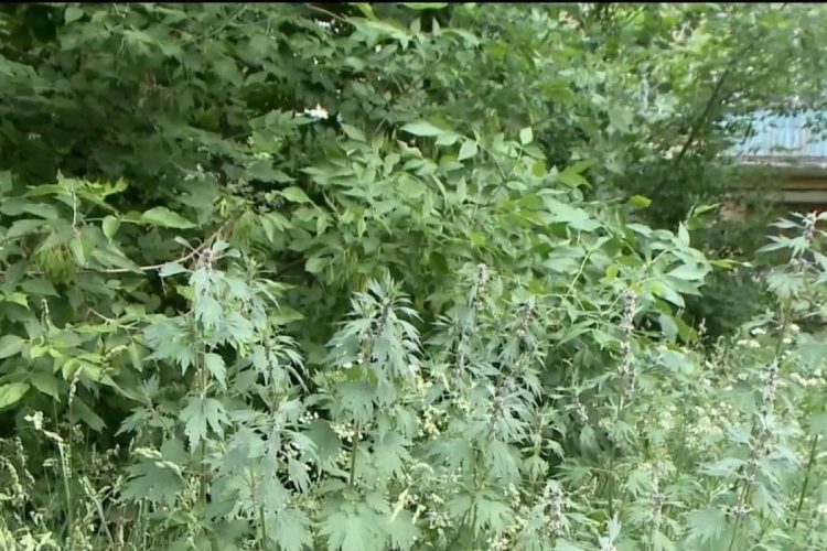 Рязанская Госжилинспекция обнаружила нарушения в работе управляющей компании