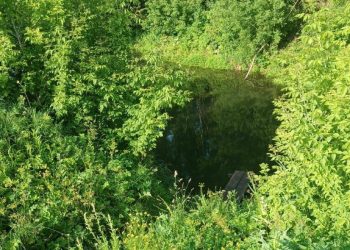 В Сети появилось фото с места гибели 5-летнего рязанца В Сети появилось фото с места гибели 5-летнего рязанца