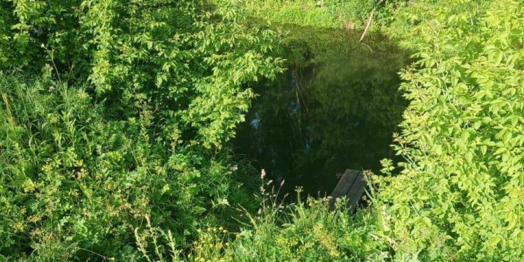 В Сети появилось фото с места гибели 5-летнего рязанца В Сети появилось фото с места гибели 5-летнего рязанца