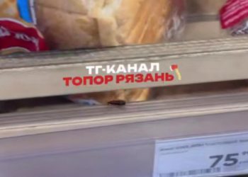 В рязанском гипермаркете на полке с хлебом заметили таракана В рязанском гипермаркете на полке с хлебом заметили таракана