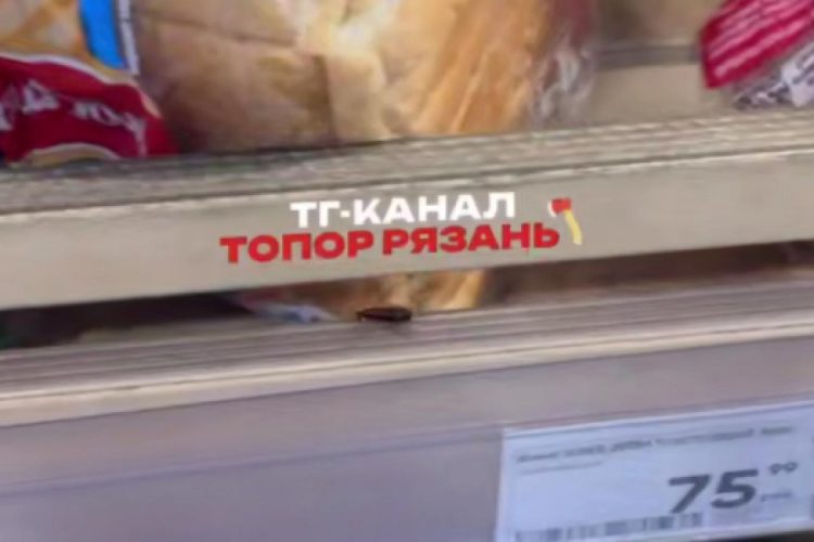 В рязанском гипермаркете на полке с хлебом заметили таракана