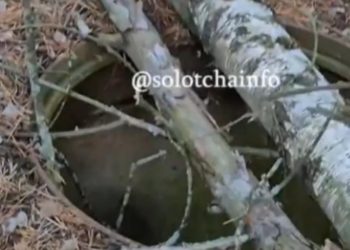 Рязанцы сообщили об открытом колодце, находящемся возле детского лагеря «Сказка»