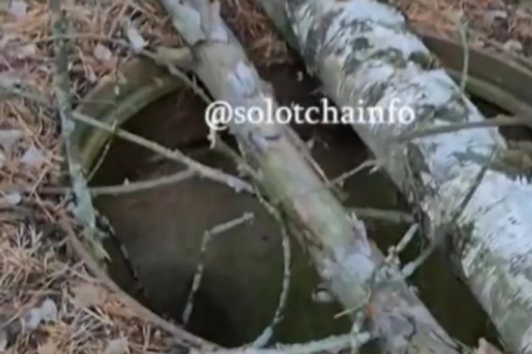 Рязанцы сообщили об открытом колодце, находящемся возле детского лагеря "Сказка"